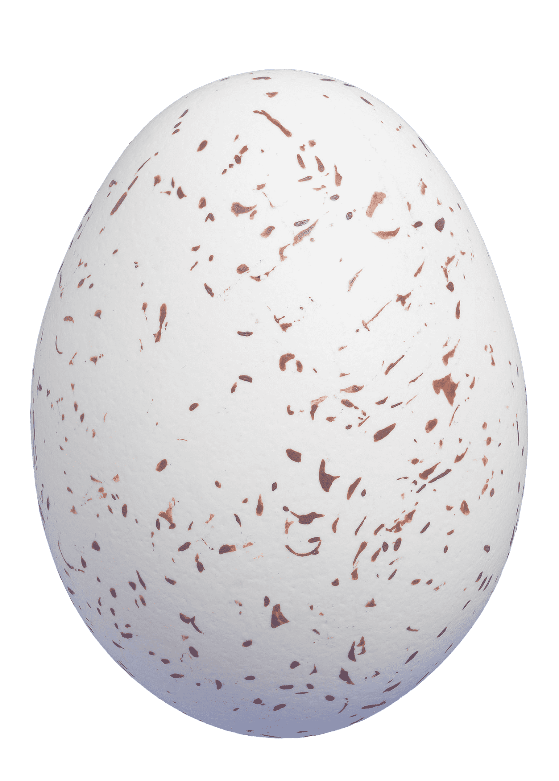 egg
